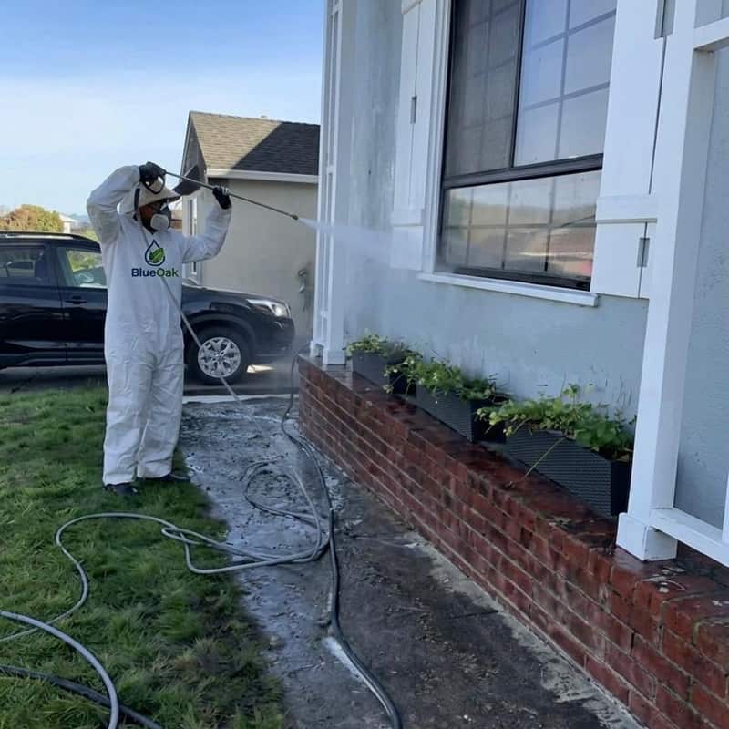 Worker in a white suit soft washing a house wall above a brick planter
