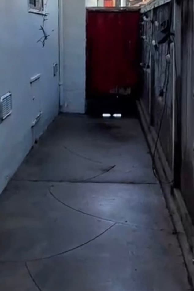 Clean concrete side-yard walkway between a gray house wall and a wood fence, running to a red gate