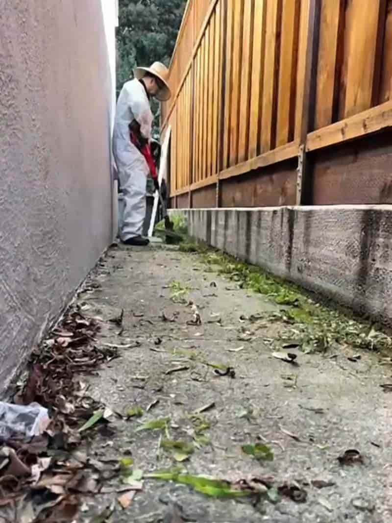 Side-yard concrete walkway covered in dead leaves, grass clippings and weeds before cleaning