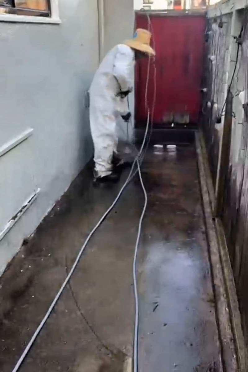 Crew member in white coveralls and a straw hat pressure washing a narrow side-yard walkway toward a red gate